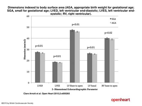 Dimensions Indexed To Body Surface Area Aga Appropriate Birth Weight