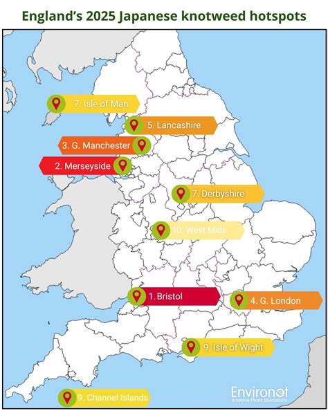 Environet data reveals Japanese knotweed hotspots - Property Industry Eye