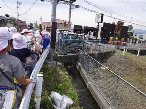 きれいな水を守るためにふるさと芳川と水海とのつながりへの気づき松本市立芳川小学校 採択校活動詳細 笹川平和財団 海洋教育