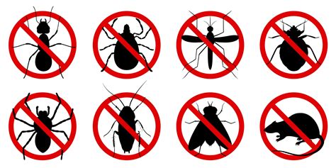 Get Rid Of Cockroaches Near You Cockroach Pest Control Service