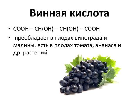 Эргастические вещества растительной клетки - презентация онлайн
