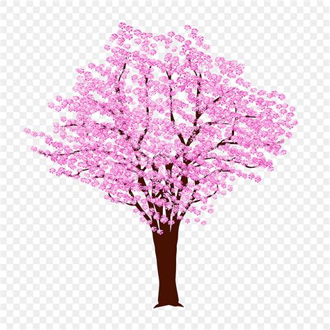 Patr N De Rbol De Sakura Flor De Cerezo Rosa Png Dibujos Im Genes