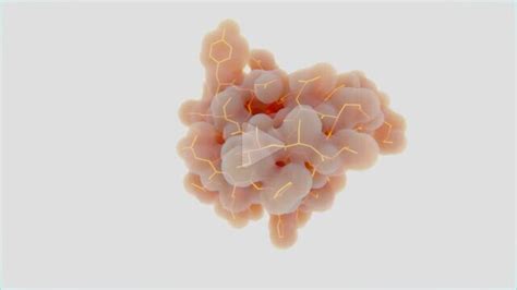 Insulin Molecule, Animation | Stock Video - Science Source Images