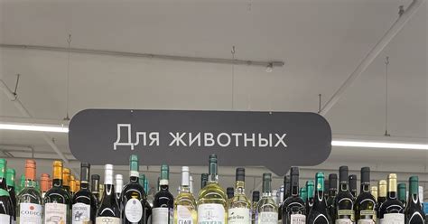 Лента для животных | Пикабу