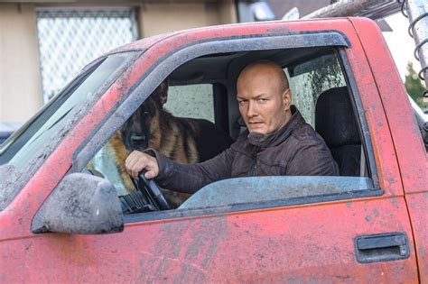 Сериал Пёс 1 сезон: фото, видео, описание серий - Вокруг ТВ.