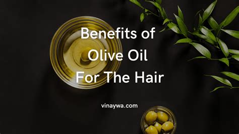 15 Proven Benefits Of Olive Oil For The Hair - Vinaywa