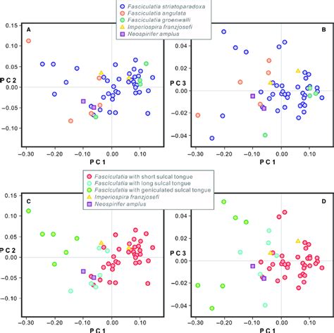 Bivariate Scatter Plots Of Scores On The First Three Principal