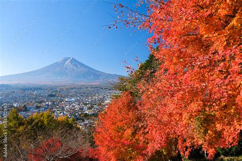 山梨県富士吉田市 新倉富士浅間神社、さくや姫階段から見える紅葉と富士山 Stock Foto Adobe Stock