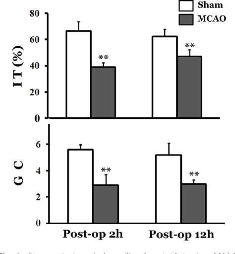 Figure 1 From The Effects Of Glutamate NMDA Receptor Antagonist MK 801