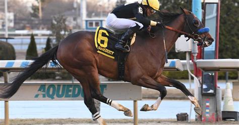 'Special Horse': Cyclone State Makes All For Comfortable Win In Jerome ...