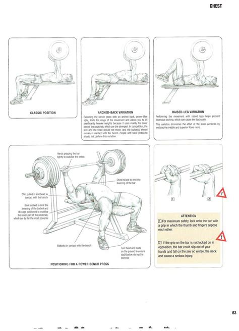 Frederic Delavier Strength Training Anatomy Anatomy Strength Training