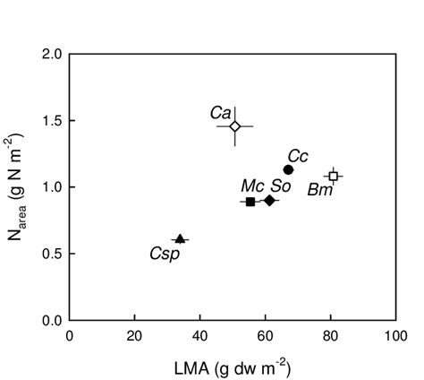 The Relationship Between Leaf Mass Per Area LMA And Area Based Leaf N