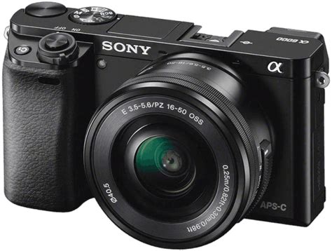 14 Best Digital Cameras in 2023 (Updated Monthly)