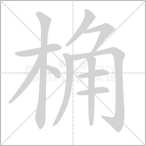 木字旁加一个角念什么字？《桷》怎么读？