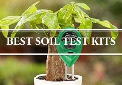 Best Soil Test Kit Reviewed Gardening Brain