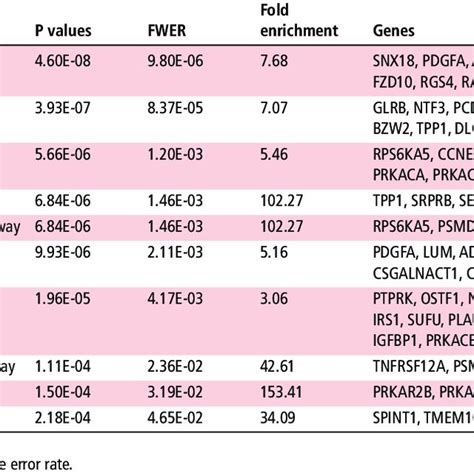 Pathway analysis of differentially expressed target genes | Download Table