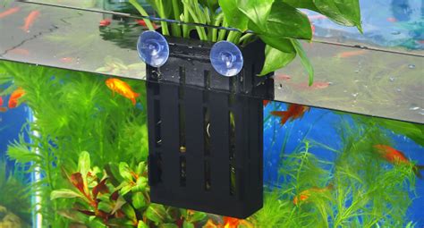 Amazon Upgraded Aquarium Hanging Aquatic Plant Holder With Hooks