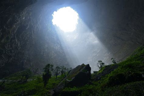 ‘Lost world’ forest found inside giant sinkhole in China | Principia ...