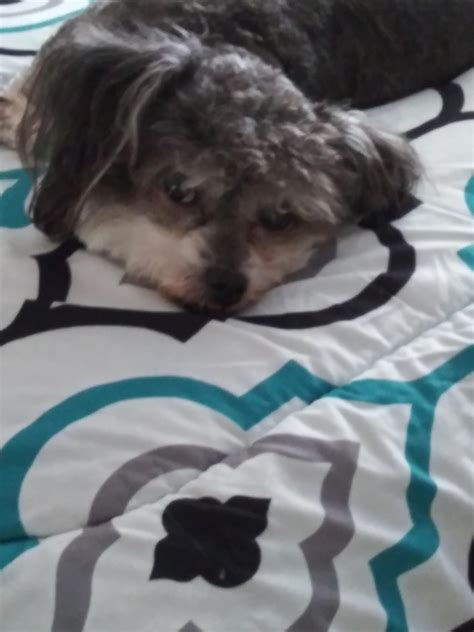 She likes to lay in weird positions. : r/aww