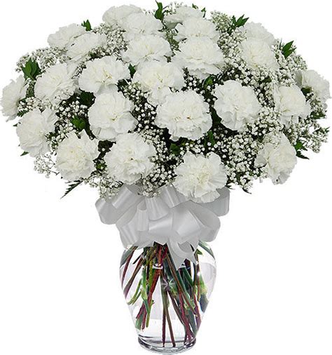 Two Dozen White Carnations · Funeral Flower Arrangements · Canada