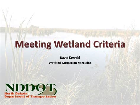 PDF Meeting Wetland Criteria DOT Home Page Wetland Criteria