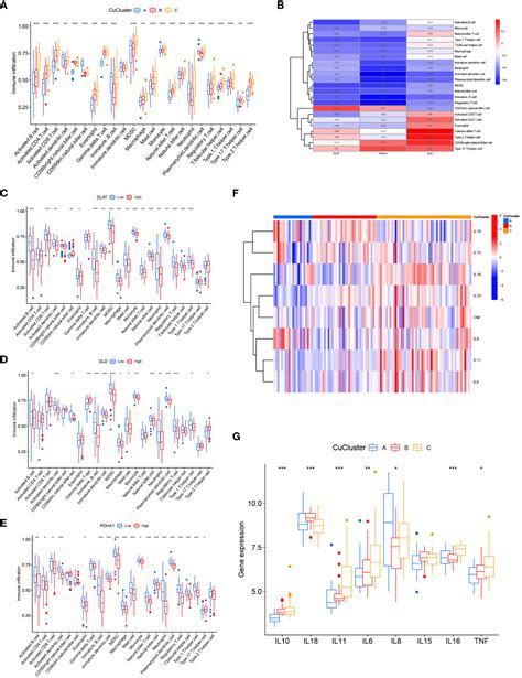 Frontiers Identification Of Cuproptosis Hub Genes Contributing To The