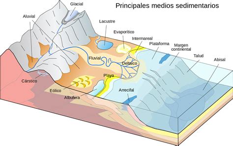 Como Se Forman Las Rocas Sedimentarias Dinami