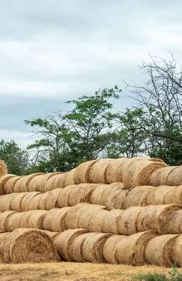 Projects - Agrohit Organic Solution