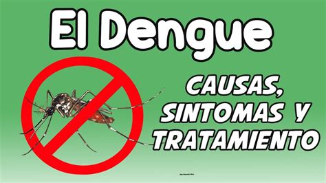 El Dengue Causas S Ntomas Diagn Stico Y Tratamiento Youtube