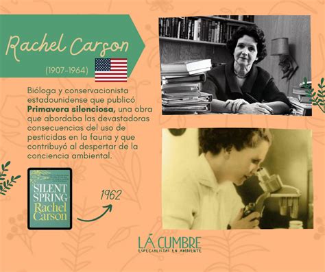 Rachel Carson Autora De Primavera Silenciosa Rachel Carson