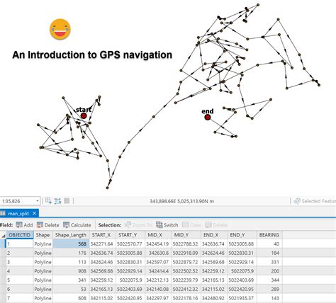 Origin, distances and bearings... geometry wanderi... - Esri Community