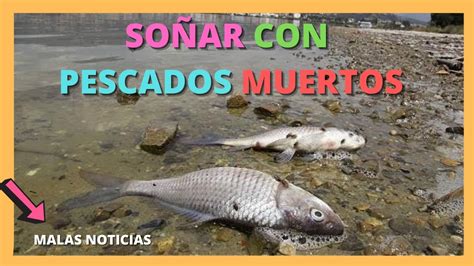 Qu Significa So Ar Con Pescados Muertos Seg N La Biblia Descubre La