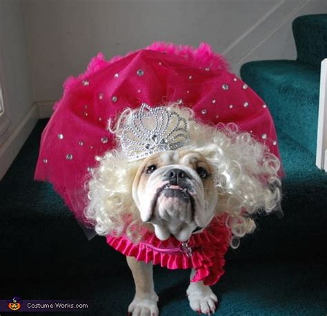 Honey Boo Boo - Halloween Costume for Dogs | Last Minute Costume Ideas | Boo halloween costume ...