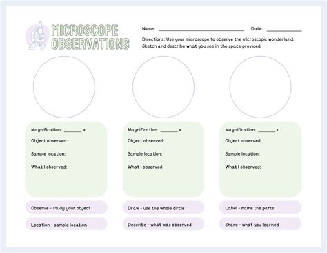 Page 4 Free Custom Printable Science Worksheet Templates Canva