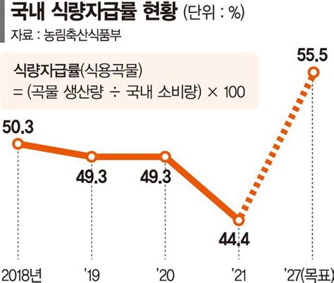 가루쌀·밀·콩 생산 늘려 식량자급률 56로 높인다 네이트 뉴스