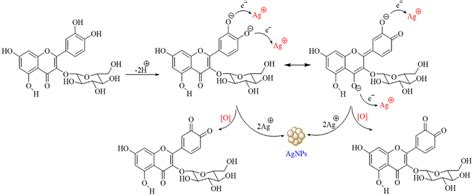 Illustration Of The Proposed Mechanism For The Synthesis Of Agnps By