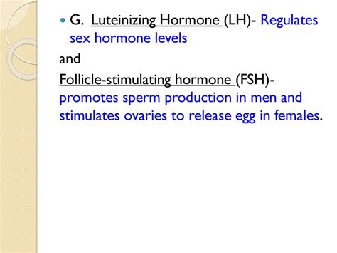 How Our Bodies Maintain Homeostasis Ppt Download