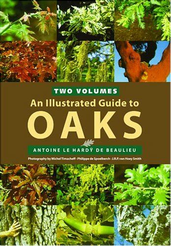 Buy An Illustrated Guide To Oaks Book Online At Low Prices In India