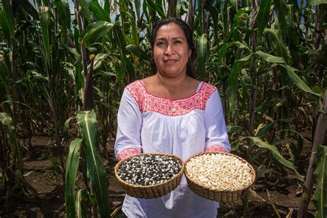 Emprende Sader acciones para la preservación y producción de las 64