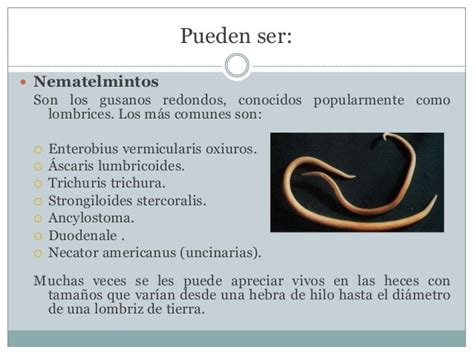 Helmintiasis