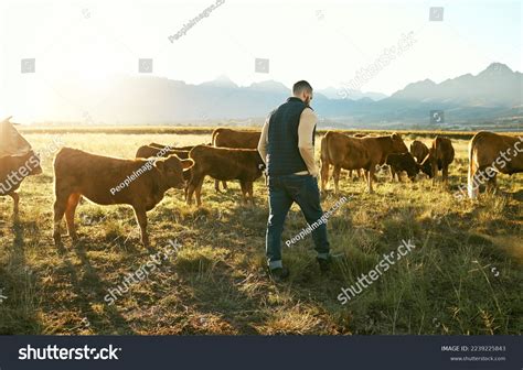 11164 Dairy Farmer Production Images Stock Photos And Vectors