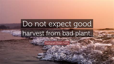 Kamaran Ihsan Salih Quote Do Not Expect Good Harvest From Bad Plant