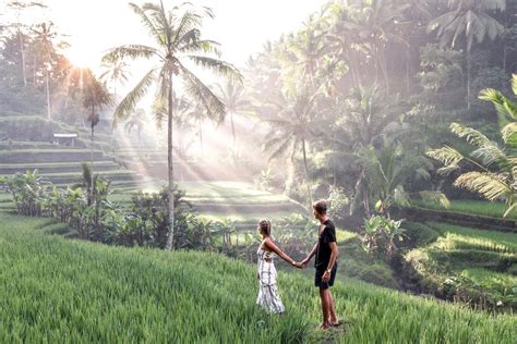 Tegalalang Rice Terrace In Ubud A Complete Guide