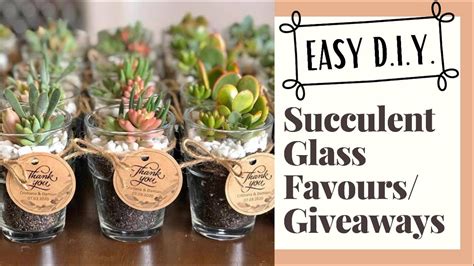 Easy Diy Succulent Glass Favours Giveaways Souvenirs Youtube