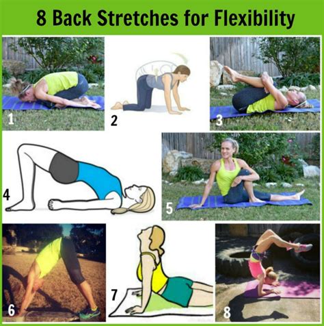 Fast Chicken Spinach Parm Panini And 8 Back Stretches For Flexibility