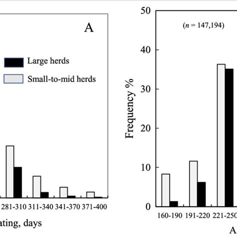 Frequency Distributions Of Gilt Age At First Mating For Two Herd Download Scientific