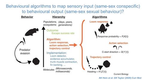 Big Behaviour Leveraging Deep Learning For Behaviomics Possible