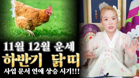 띠별운세 11월12월 하반기 닭띠운세 나이대별 운세 용한점집 강남점집 닭띠운세 사주 Youtube