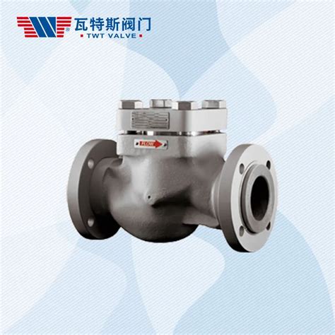 China Lift Check Valve Factory TWT VALVE