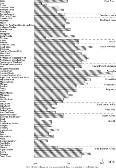 Race And Sex Differences In Teeth Mathildas Anthropology Blog